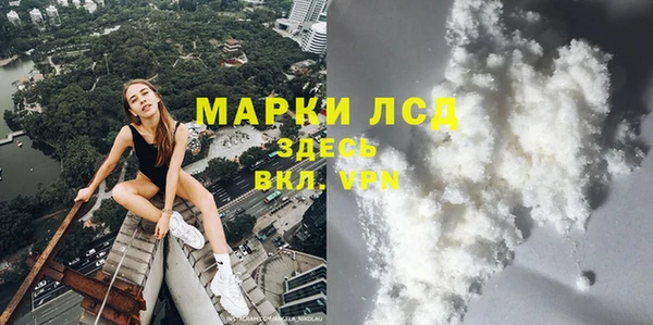 хмурый Аркадак