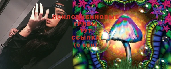 mdma Заводоуковск