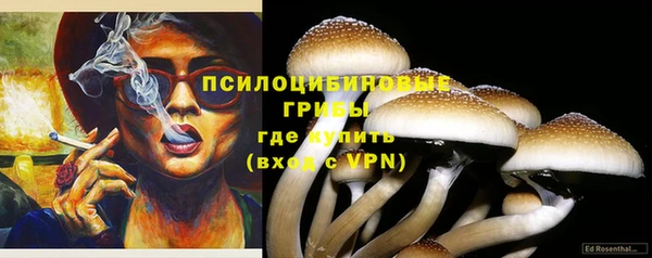 прущая мука Алзамай