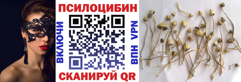 Псилоцибиновые грибы мухоморы  наркота  Ликино-Дулёво 